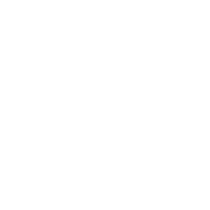 __Szakertelem_es_biztonsag_ikon